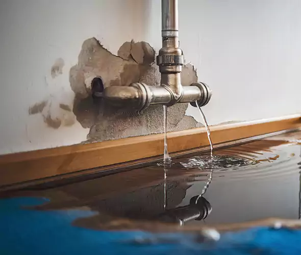 Professional Water Damage Restoration Experts in Deerfield Beach, FL — Fast, Reliable & Certified